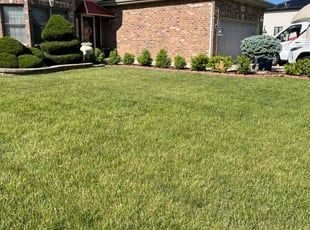 Belinda N.'s turf care service result