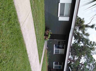 Sebastian S.'s grass maintenance service result