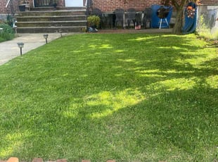 Tuesday W.'s lawn care service result