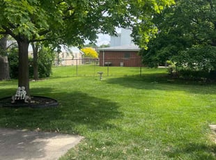 Adam D.'s lawn care service result