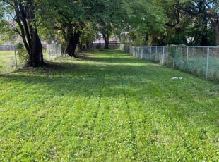 Tami H.'s Bush Trimming service result