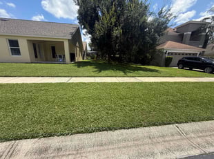 Tanzim S.'s lawn service service result