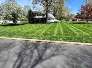 Ella J.'s turf care service result