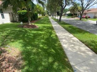 Felicia L.'s lawn service service result