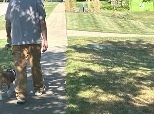 "Daniel S.'s grass maintenance service result