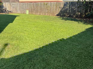 Stephen T.'s lawn service service result