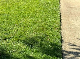 Sherry S.'s lawn service service result