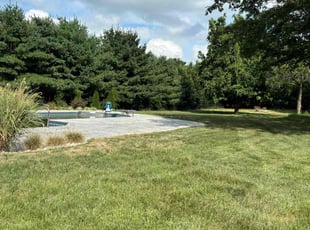 Ruth B.'s lawn maintenance service result