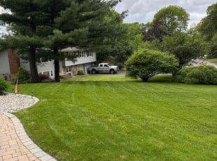 Edmond M.'s lawn service service result