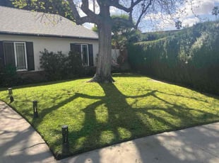 Junior H.'s lawn care services service result