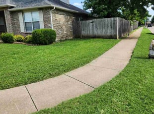Maxim V.'s lawn care services service result