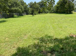 Sharon S.'s turf maintenance service result