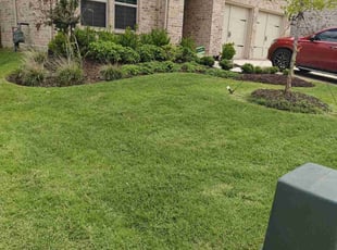 Maria M.'s lawn service service result