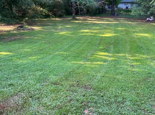 Jonathan H.'s lawn maintenance service result