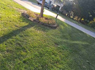 James C.'s turf maintenance service result