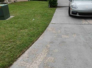 Jacquelyn B.'s turf maintenance service result