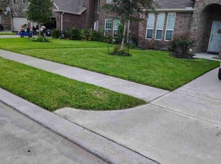 Helen V.'s lawn care service result