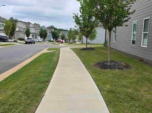 Marcia H.'s grass maintenance service result