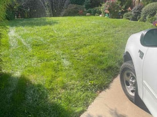 Angela S.'s lawn maintenance service result