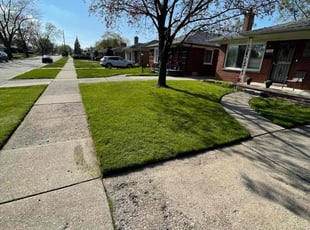 Robert H.'s landscaping services service result