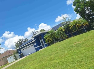 Kimberlee A.'s grass maintenance service result