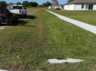 Yvonne C.'s lawn service service result