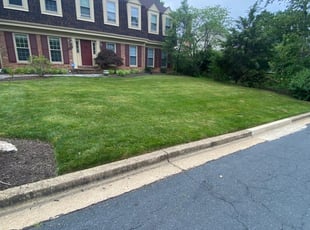 Marvin P.'s lawn care services service result