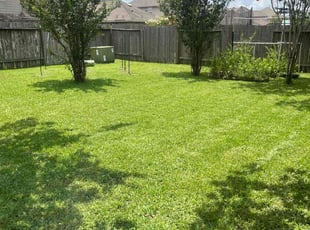 Curtis S.'s residential landscaping service result