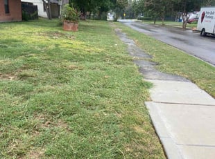 Alphonso L.'s lawn service service result