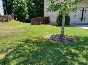 Kevin F.'s lawn care service result