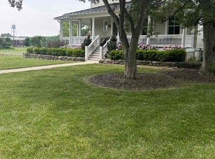 Shirley B.'s lawn care services service result