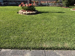 Patricia P.'s lawn maintenance service result