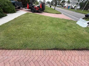 Greg R.'s lawn service service result