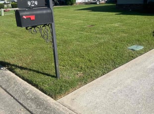 Cody M.'s lawn maintenance service result