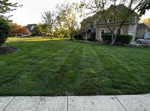 Brent D.'s lawn care service result