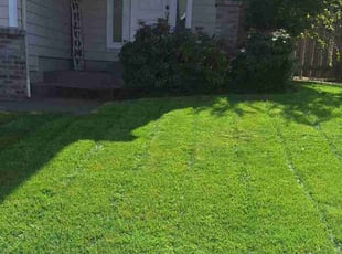 Aaron R.'s grass maintenance service result