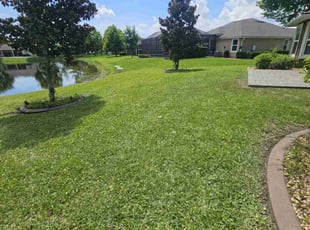 Kedrick F.'s residential landscaping service result
