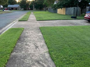 Crystal C.'s landscaping services service result