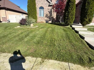 James B.'s lawn service service result