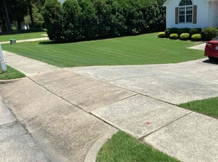 Lavanya Y.'s lawn care services service result
