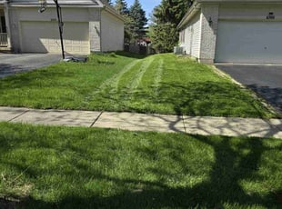 Blair D.'s turf maintenance service result