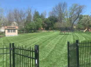 Ashley S.'s lawn maintenance service result