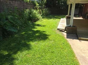 Jason E.'s lawn service service result