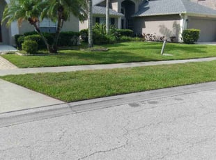 Daniel R.'s turf maintenance service result