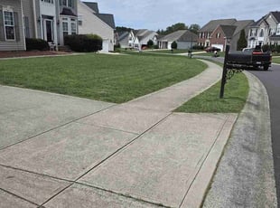 Negaise J.'s turf care service result