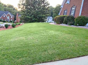 Shaunte K.'s grass maintenance service result