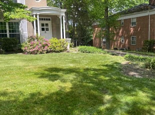 Chaquail S.'s lawn care service result