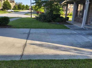 Ty D.'s grass cutting service result