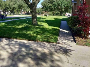 Ed M.'s lawn maintenance service result