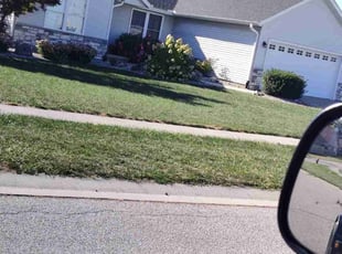 Alexis B.'s turf care service result